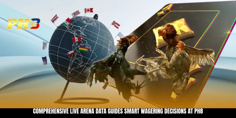 Comprehensive live arena data guides smart wagering decisions at PH8 Comprehensive live arena data guides smart wagering decisions at PH8