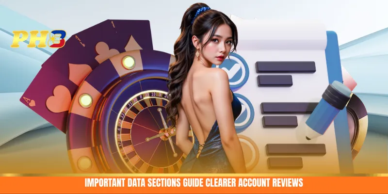 Important data sections guide clearer account reviews