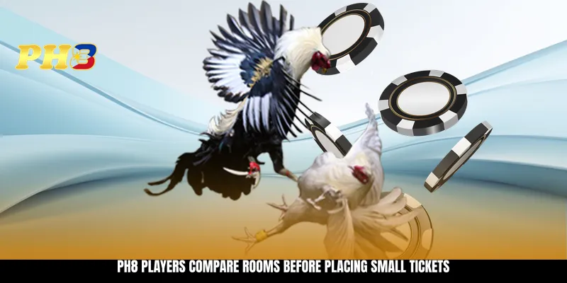 PH8 players compare rooms before placing small tickets